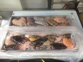 Image of Wild Alaska Cod Roe