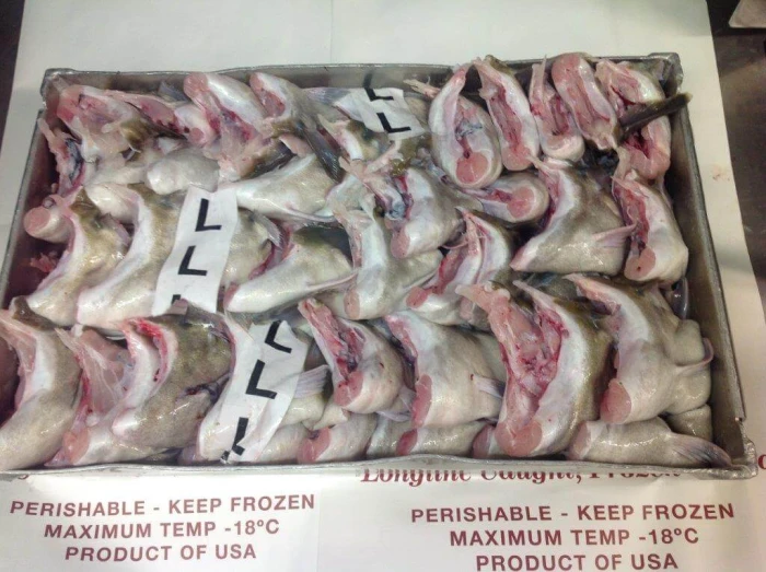 BEFORE FREEZER (3) (1).jpg