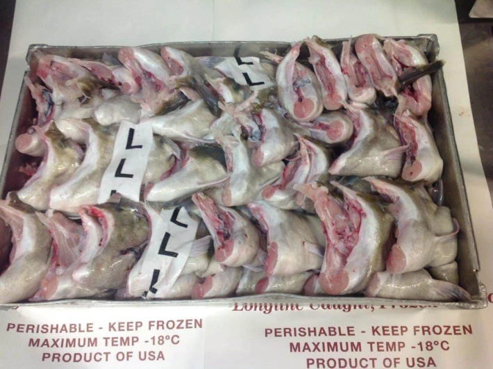 BEFORE FREEZER (3) (1).jpg