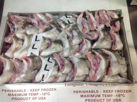 Image of Wild Alaska Cod Collars