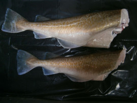 Image of Wild Alaska Cod