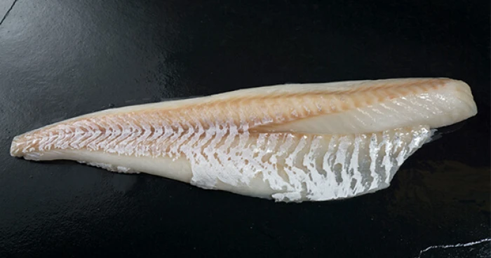 Alaskan-Leader-Filet.jpg