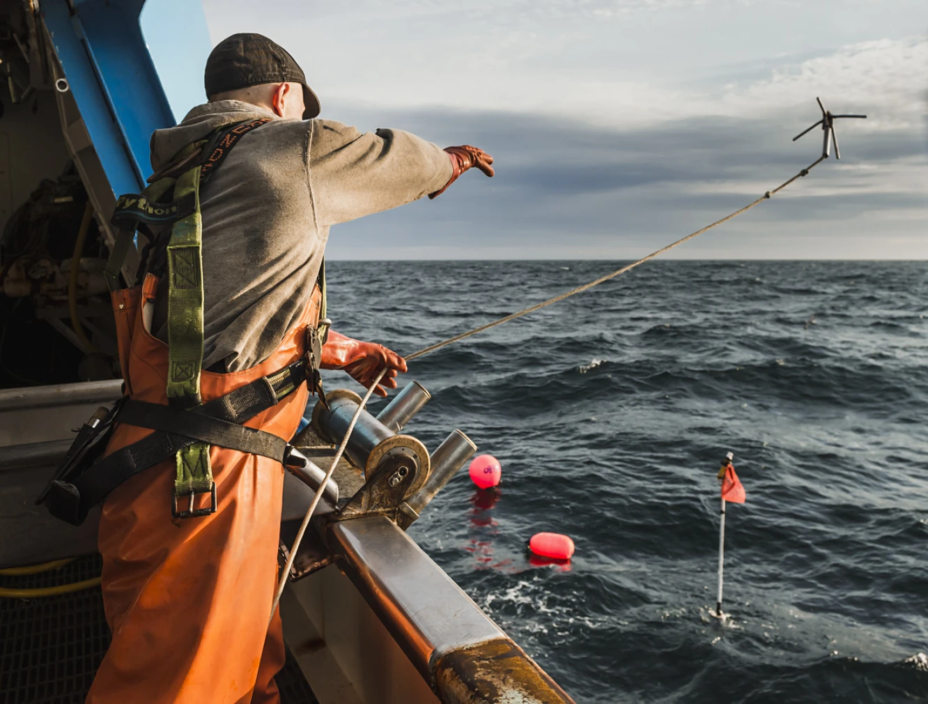 201211 Cod Harvesting CM-Web - Medium