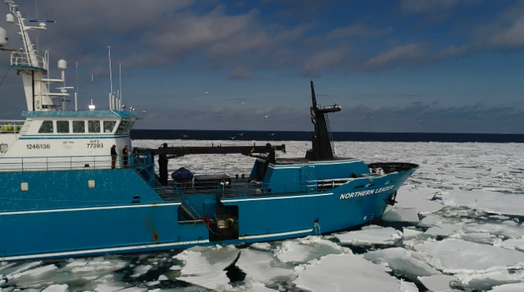 Northern Leader Ice Fields