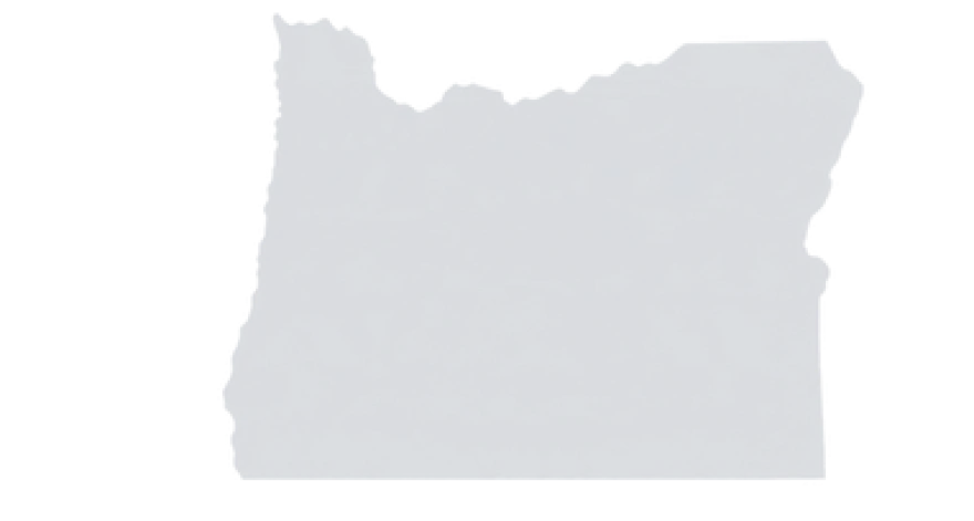 Oregon Cut-Out Light Gray (1)