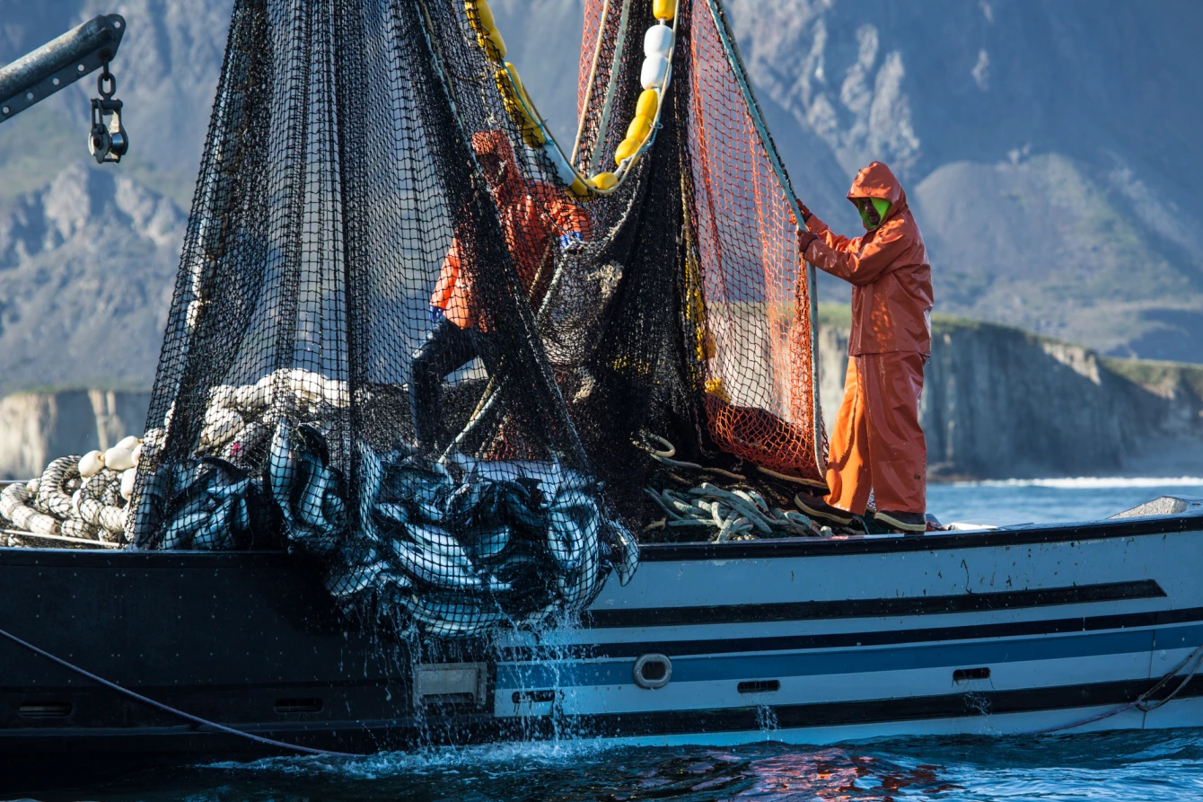 201405 Full Seine Net SA
